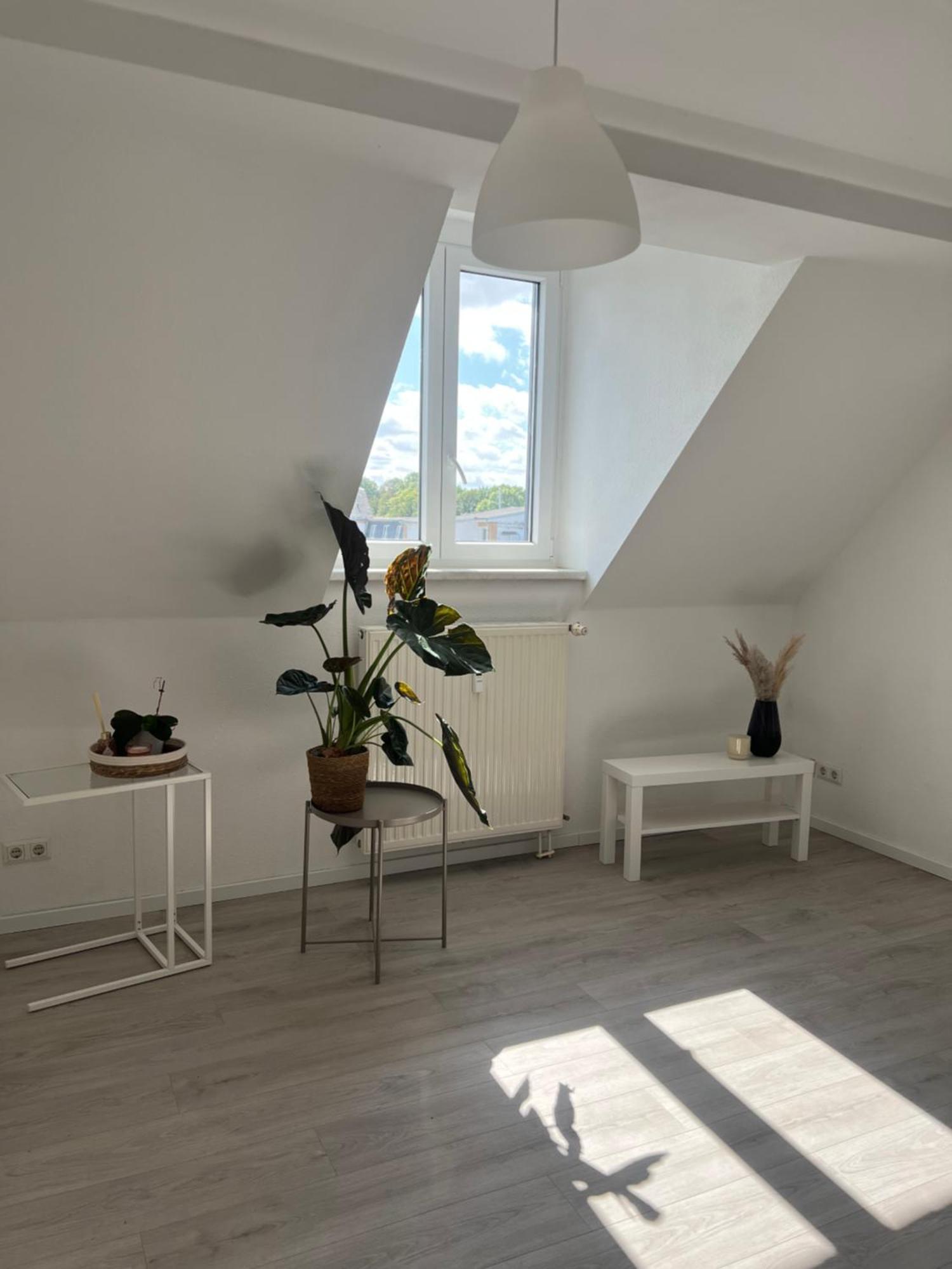 Cozy Work And Stay Pretty Home Chemnitz Luaran gambar
